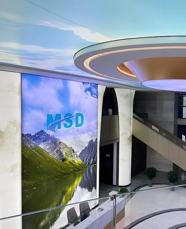 Чжэцзян MSD Group Share Co., Ltd. Чжэцзян MSD Group Share Co., Ltd.